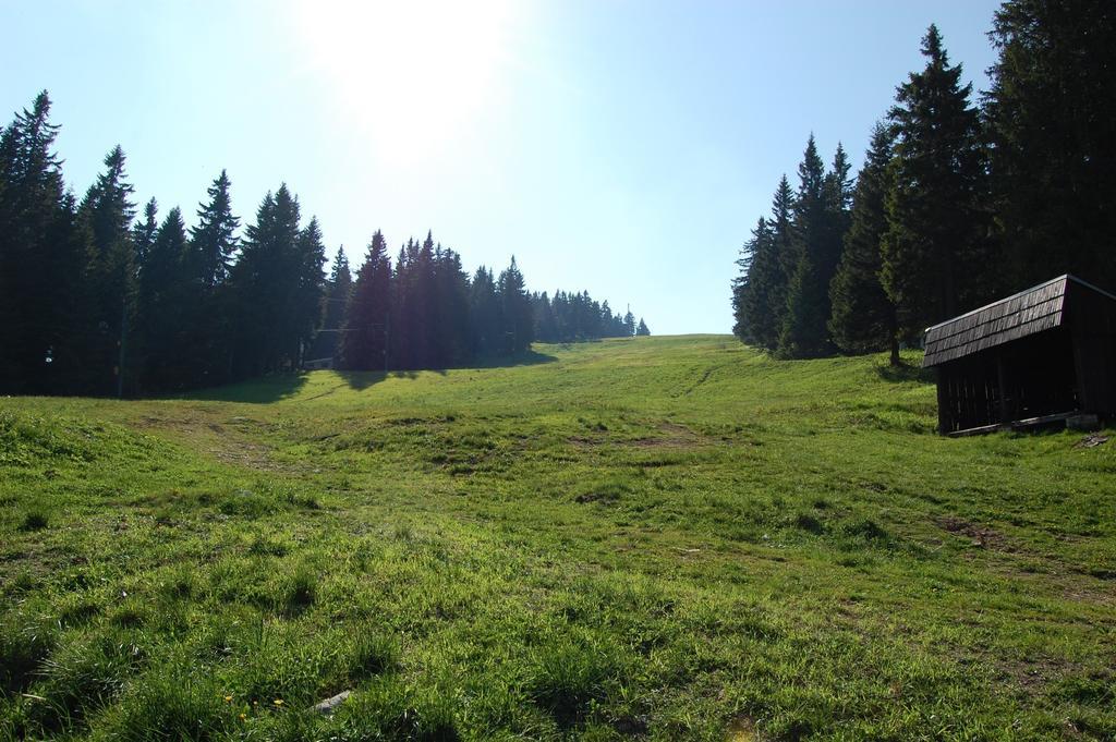 Nova Ponorka Martinske Hole Martinky Lägenhet Rum bild